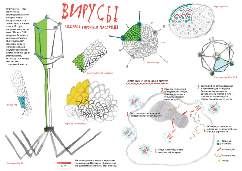 Вирусная частица