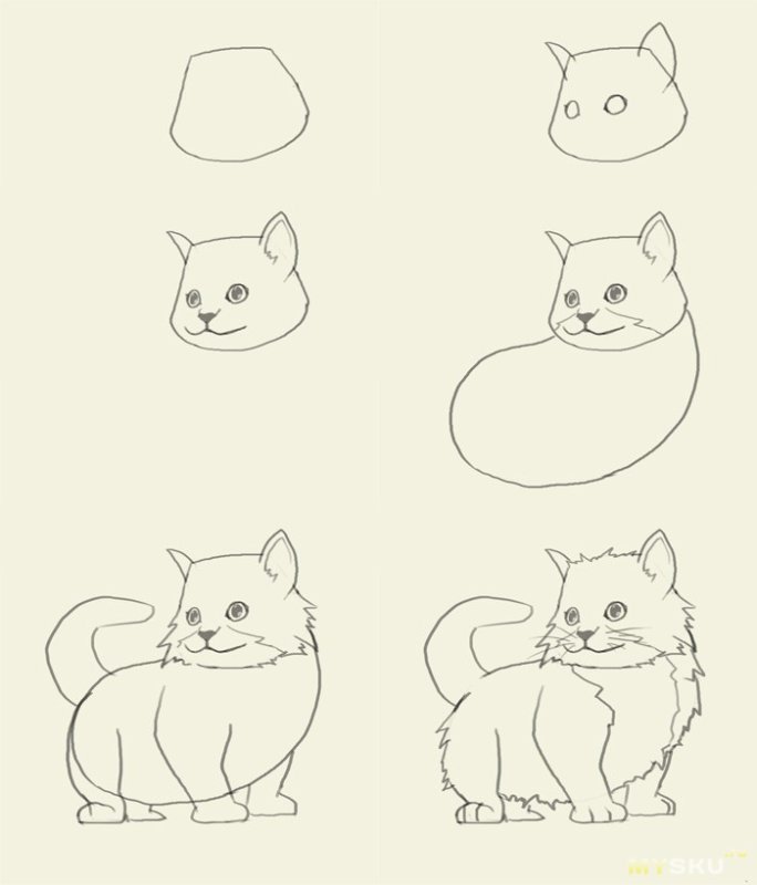 Рисунки котов для срисовки