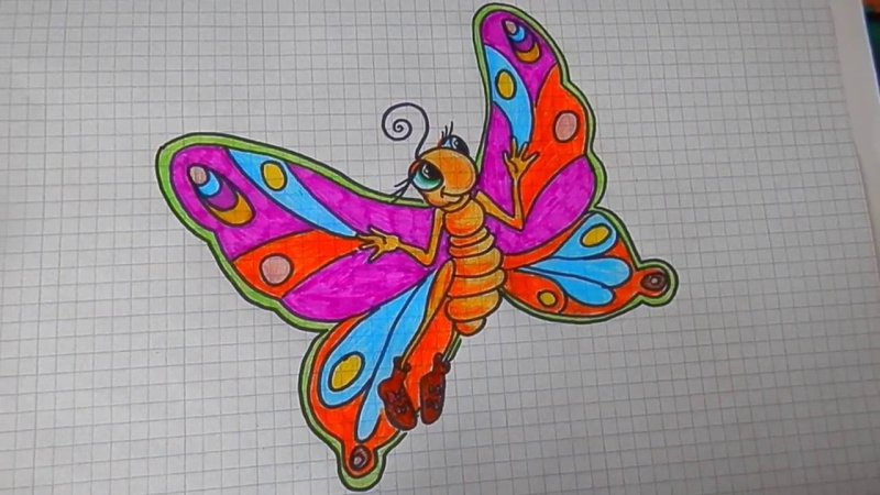 Бабочка для срисовки