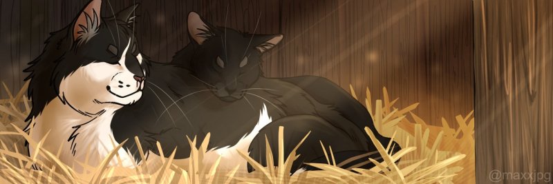 Ravenpaw коты Воители