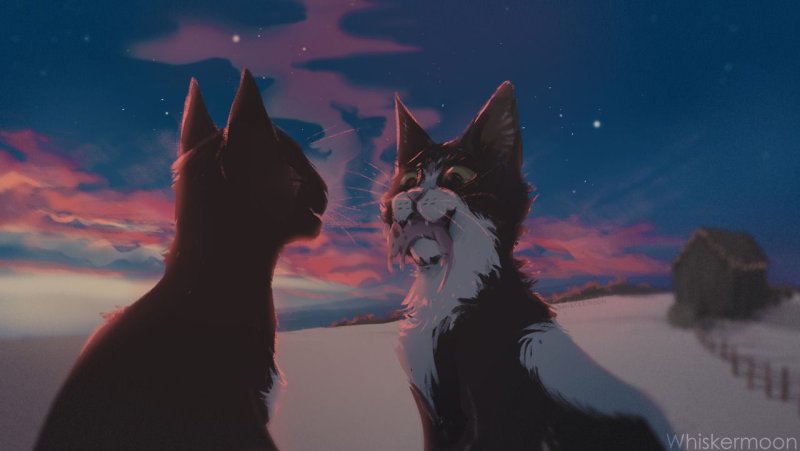 Коты воители ячмень арты