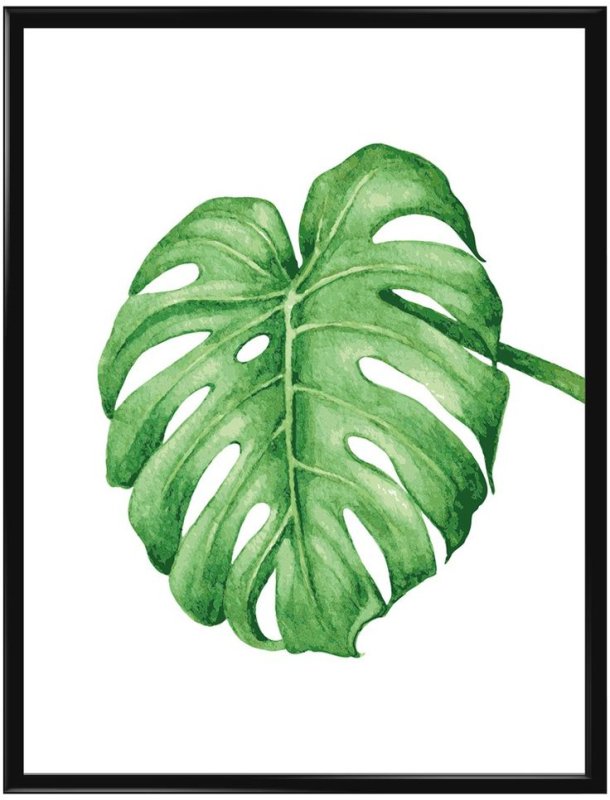 Постер Сканди Monstera