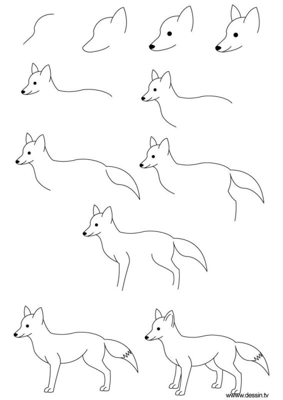 Рисунок лисы