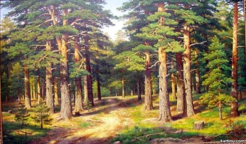 Картины живопись Владимира Бебия