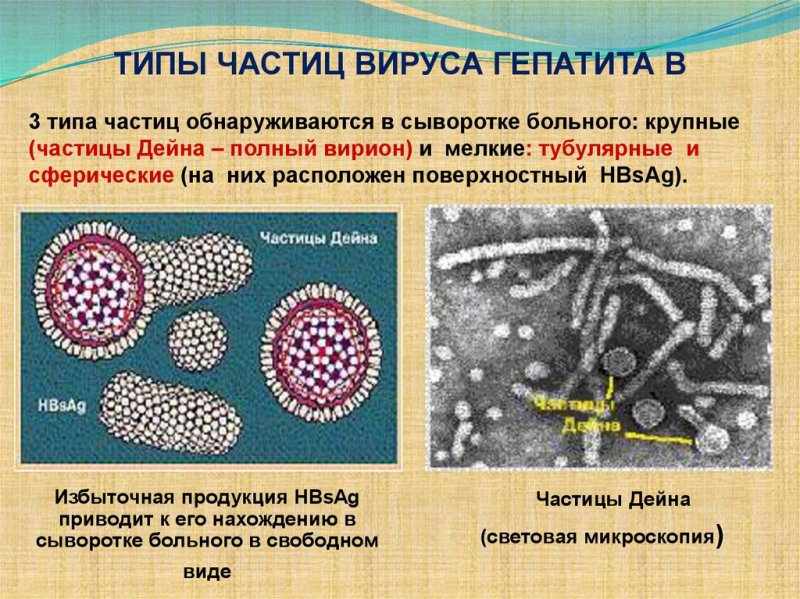 Типы вирусных частиц