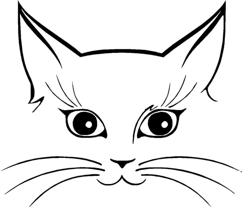Мордочка кота для рисования