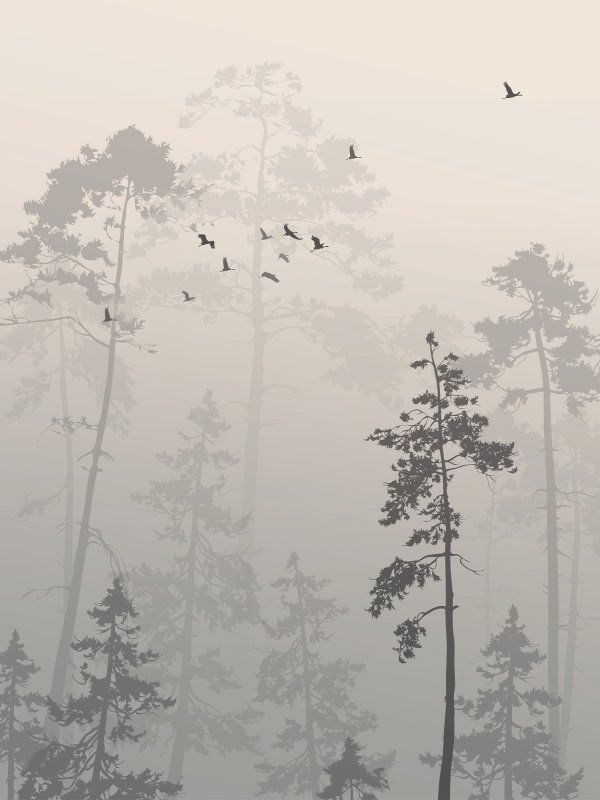 Туманный лес