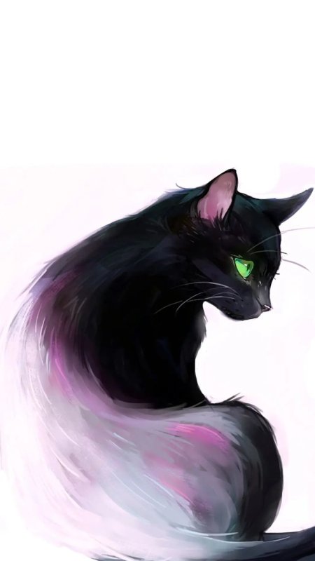 Красивые арты кошек