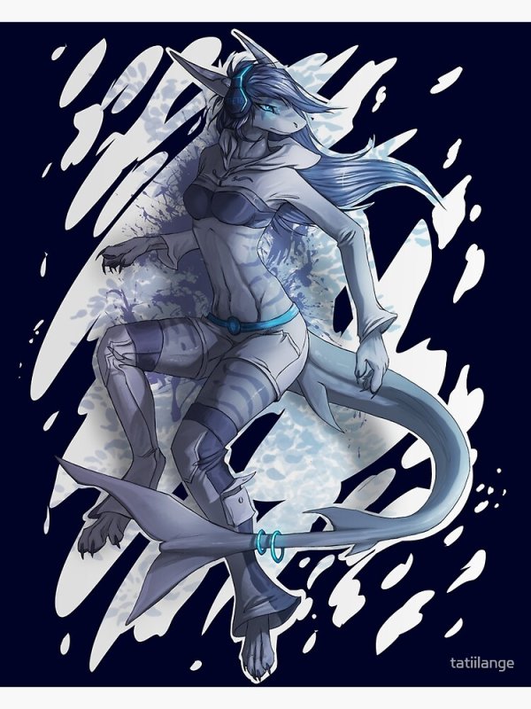 Фурри акула арт