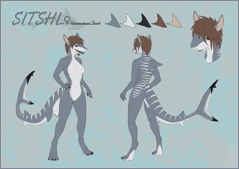 Референс персонажа фурри