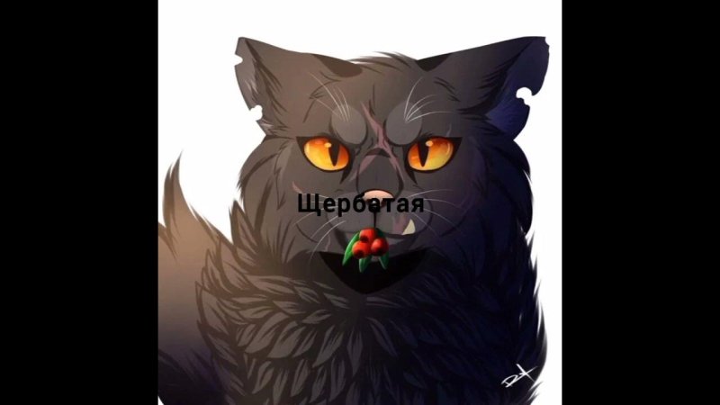 Коты Воители Щербатая арт