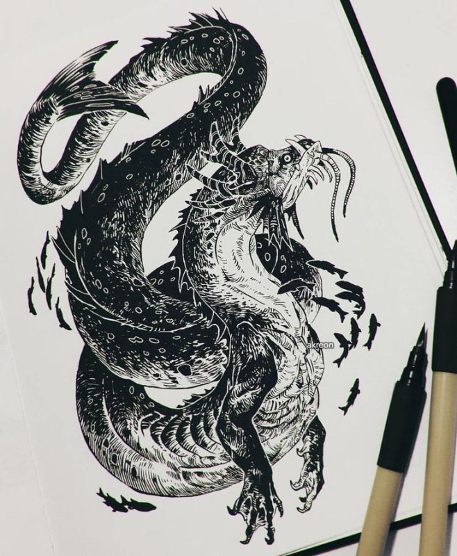 Akreon Art