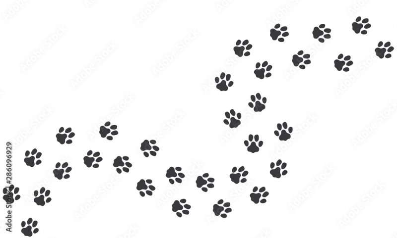 Кошачьи лапки следы