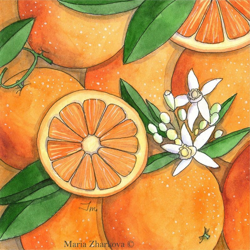 Рисунки фруктов