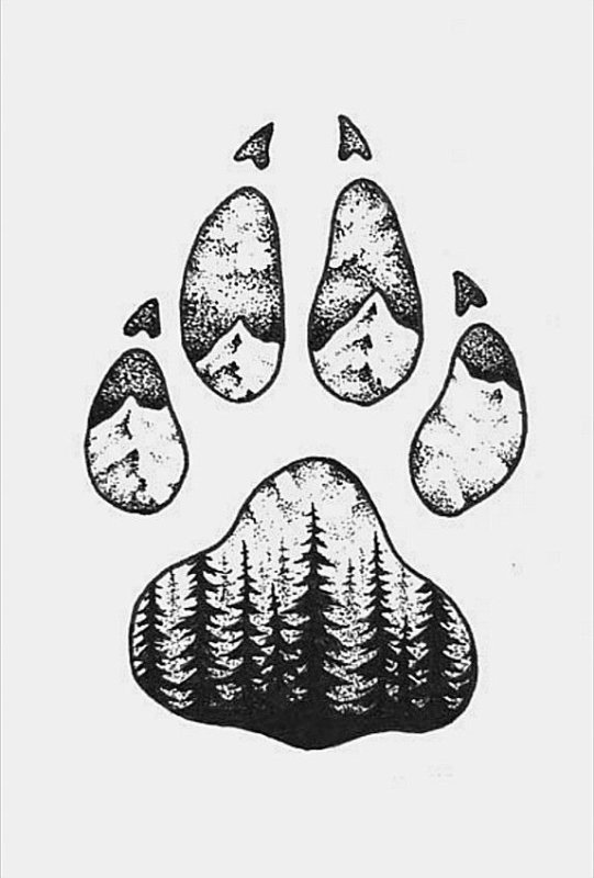 Волчья лапа след