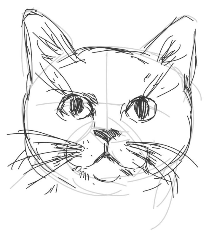 Морда кота рисунок