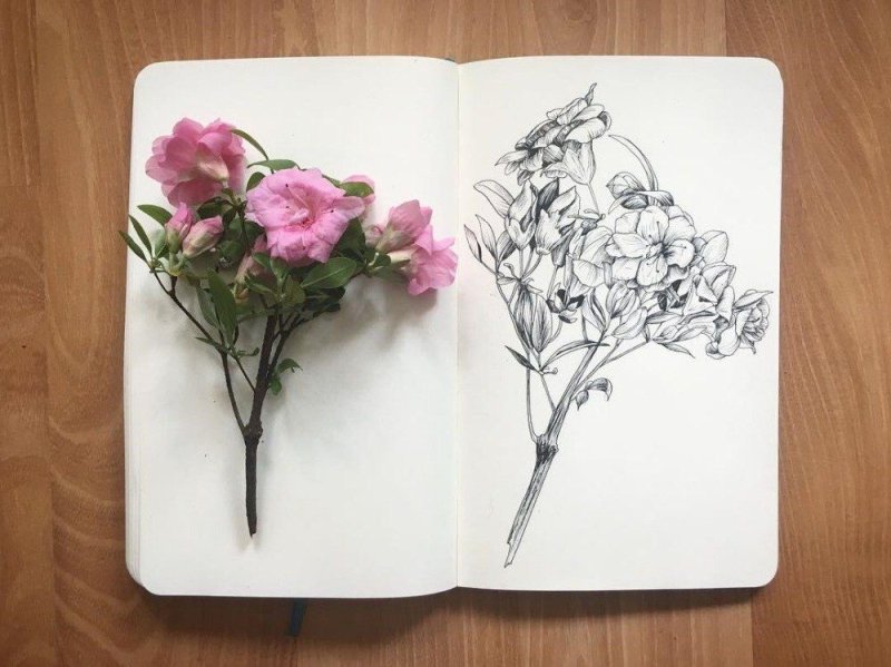 Скетчбук. Цветы