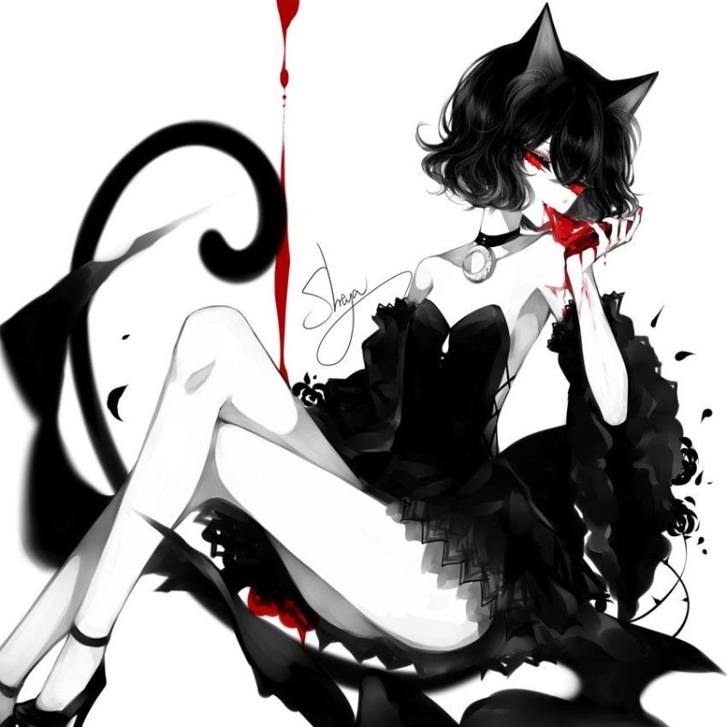 Аниме девушки кошки