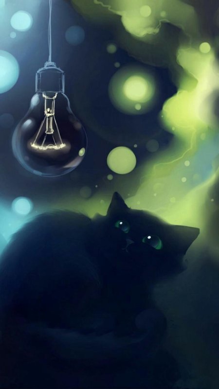 Котик арт