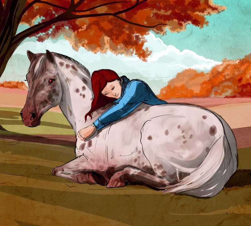 рисунки лошадей