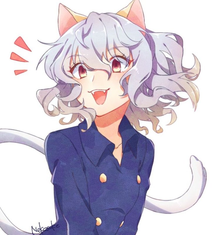 Neferpitou neco Arc