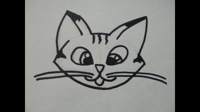 Рисунок кошки для срисовки