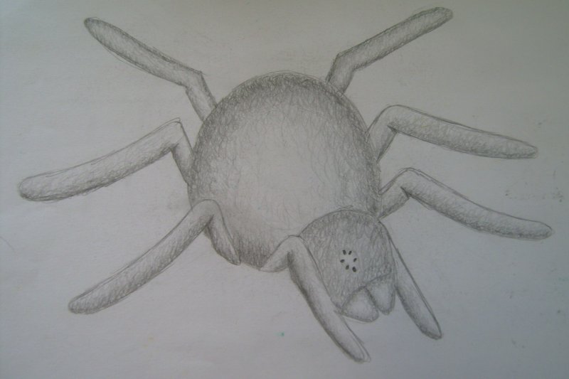 Паук для рисования