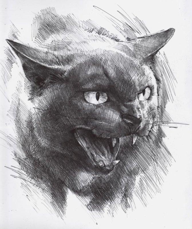Кошка эскиз