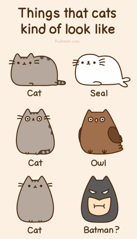 pusheen cat