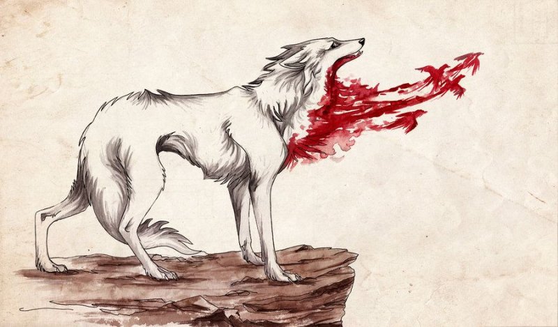 Рисунки Волков