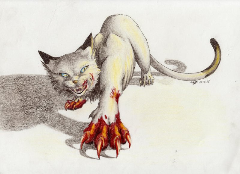 Кошка иллюстрация