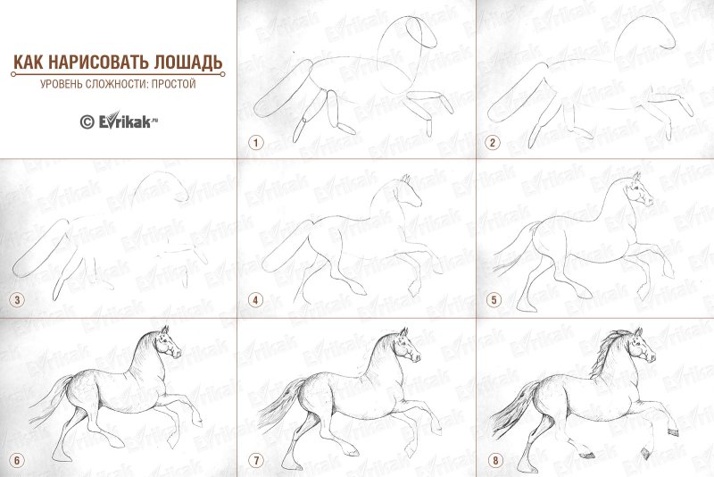 Схема рисования лошади для детей