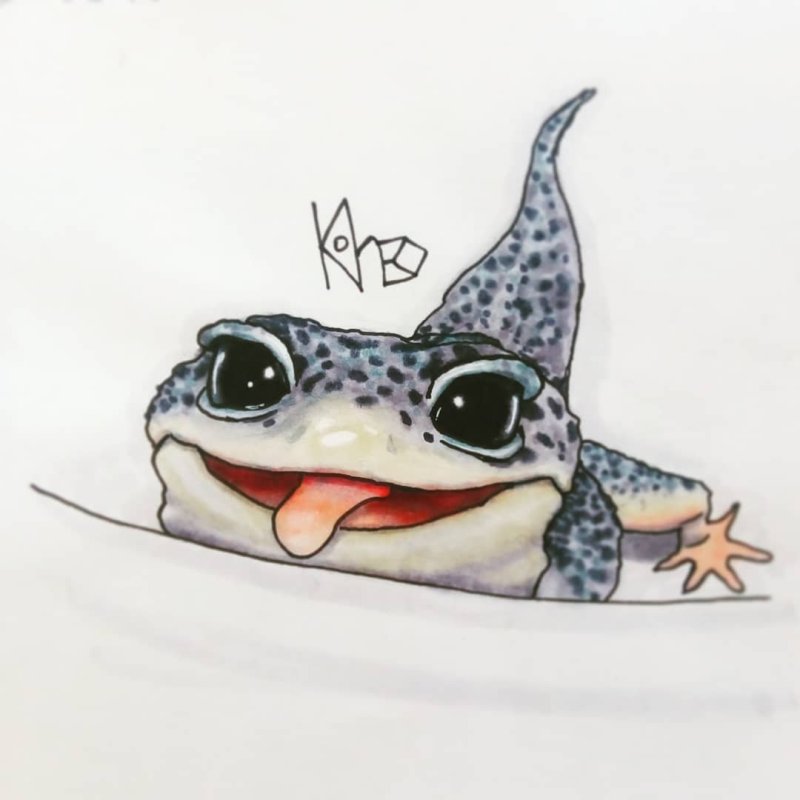 Эублефар скетч