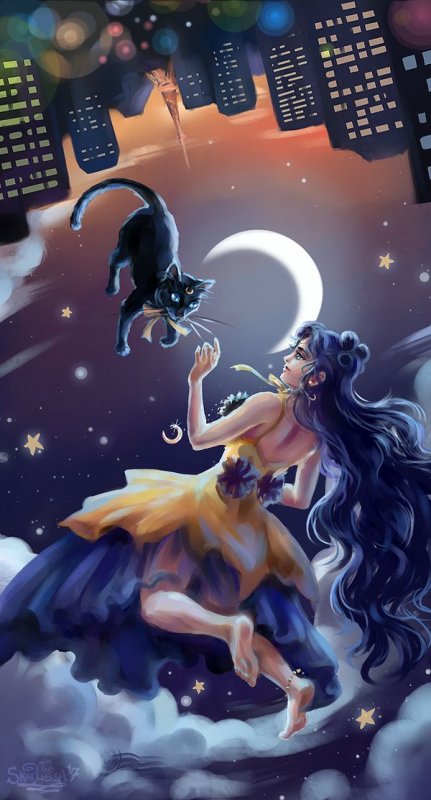 Кот и Луна арт