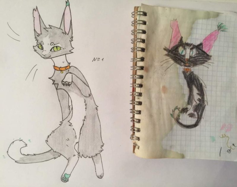Рисунки котиков для скетчбука