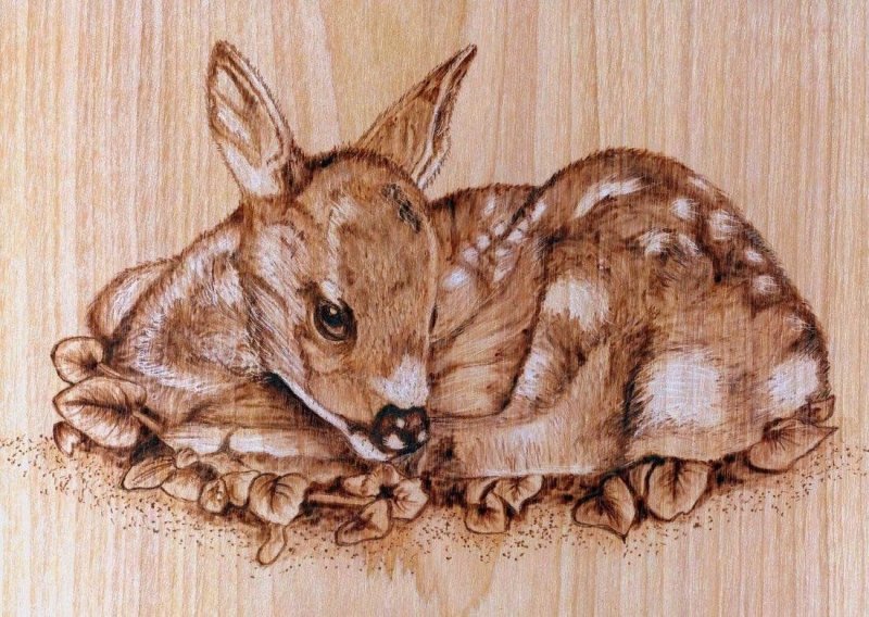 Рисунки для выжигания