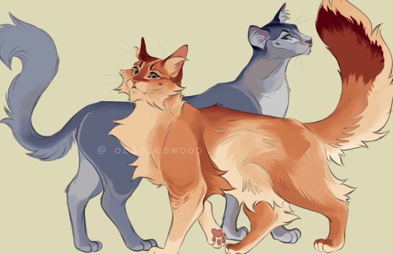 Коты Воители синяя звезда и Желудь