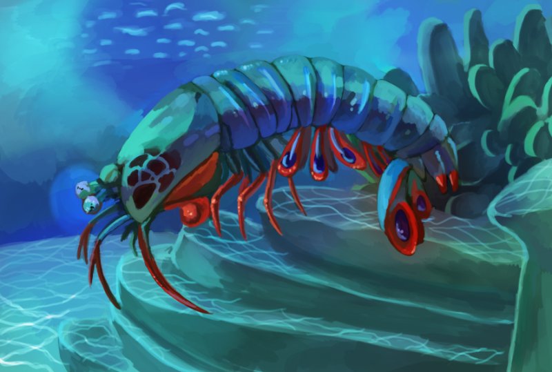 Mantis Shrimp монстр арт
