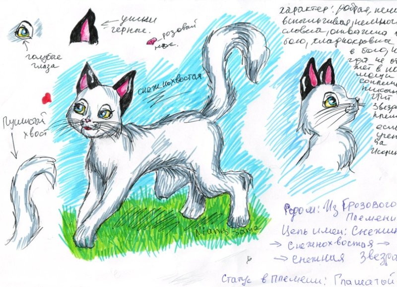 Кот воитель рисунок