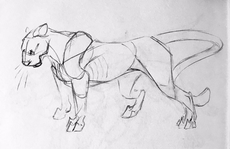 Пантера набросок карандашом