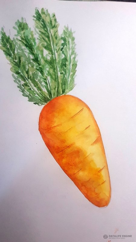 Морковка для рисования