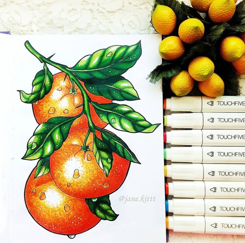 Скетчинг маркерами фрукты