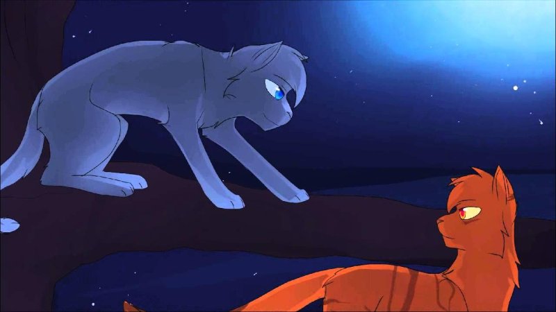 Коты Воители синяя звезда и Желудь
