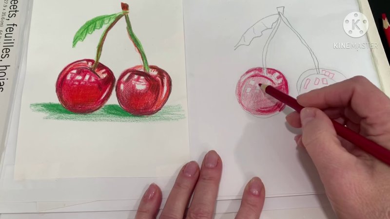Вишня для рисования