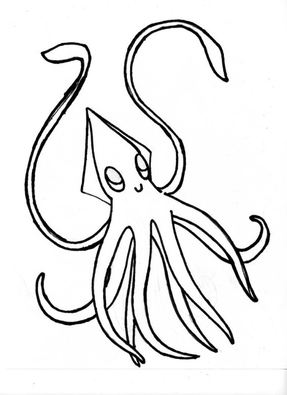 Кальмар рисунок