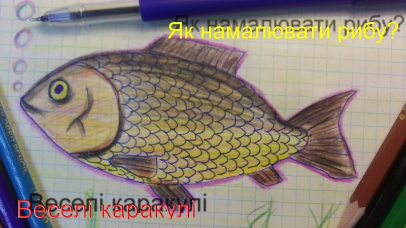 Карась рисунок