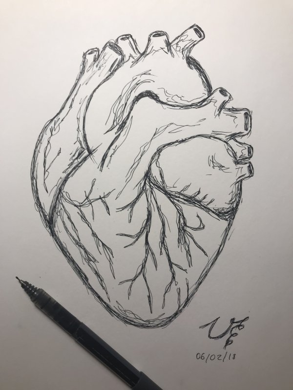 Рисунки для срисовки сердце