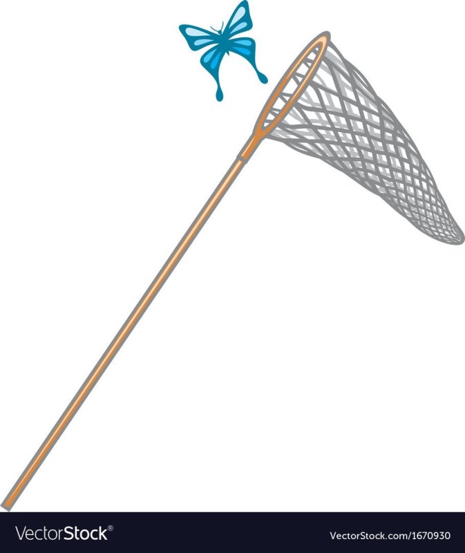 сачок для ловли бабочек