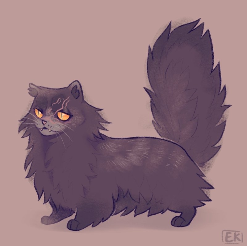 Yellowfang коты Воители