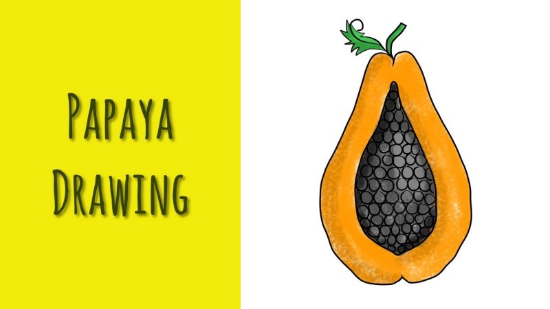папайя рисунок
